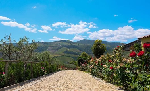 Hotel Rural Da Quinta Do Silval