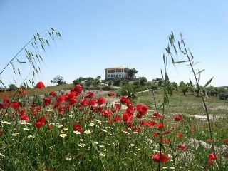 Hotel Rural El Geco Verde