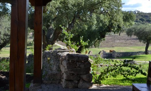 Hotel Rural Finca El Cortiñal
