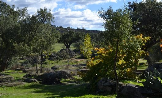 Hotel Rural Finca El Cortiñal