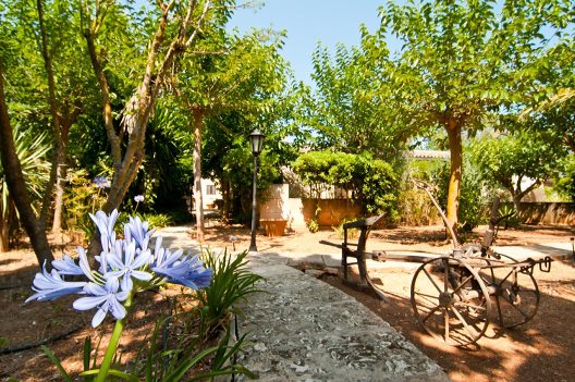 Hotel Rural Finca Es Palmer