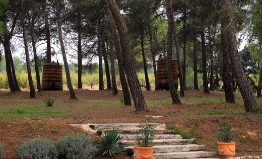 Hotel Rural Finca Santa Elena