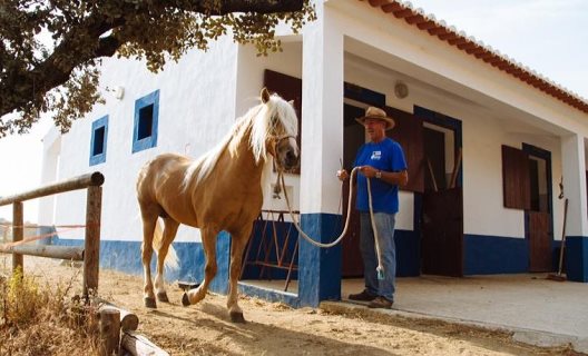 Hotel Rural Horta Da Moura
