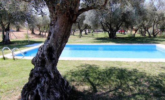Hotel Rural Los Hojaranzos