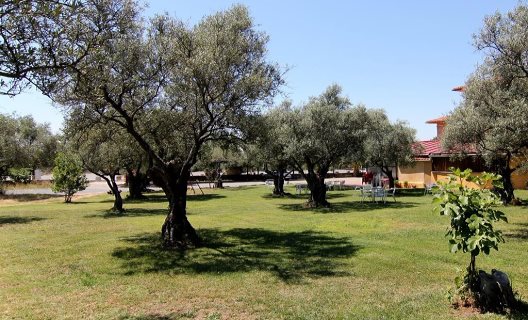Hotel Rural Los Hojaranzos