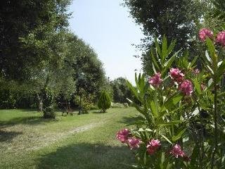 Hotel Rural Mas Salvanera