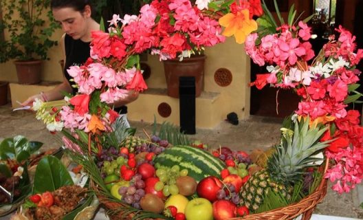 Hotel Rural Predio Son Serra