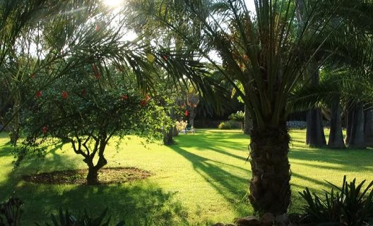 Hotel Rural Predio Son Serra