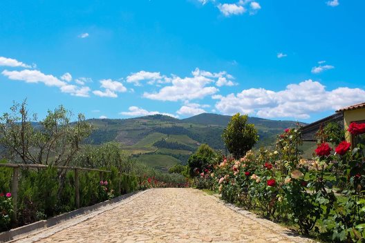 Hotel Rural Quinta Do Silval