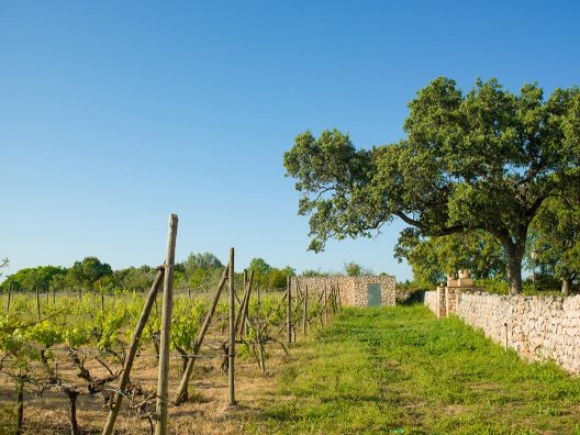 Hotel Rural Sa Bassa Rotja