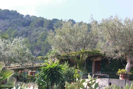 Hotel Rural Sa Pedrissa