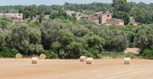 Hotel Rural Son Jorda