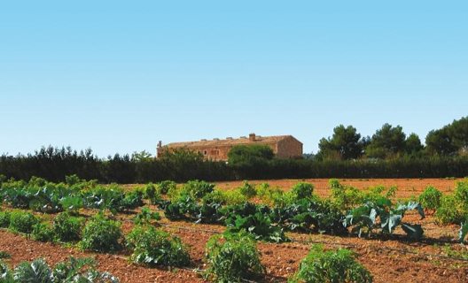 Hotel Rural Son Terrades