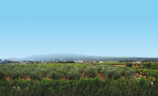Hotel Rural Son Terrades