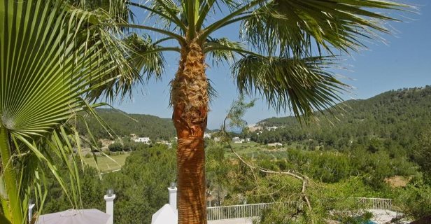Hotel Rural Villa Can Maries