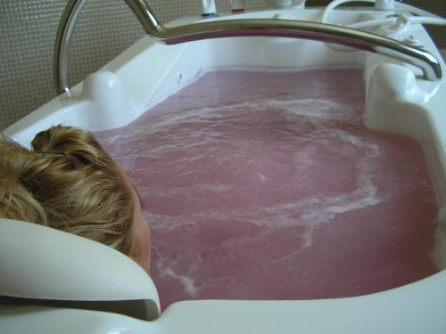 Hotel Rural Vino Spa Lavida