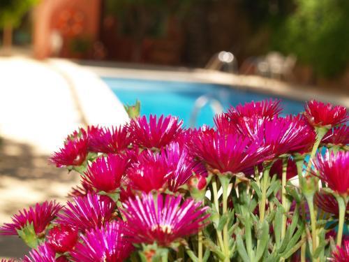 Hotel Sa Coma