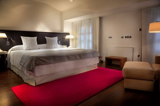 Hotel San Ramon Del Somontano