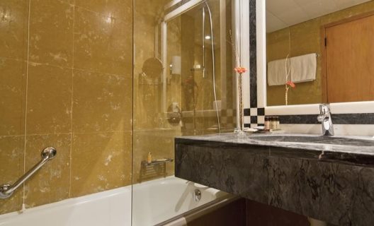 Hotel Sana Executive
