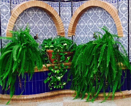 Hotel Sandra