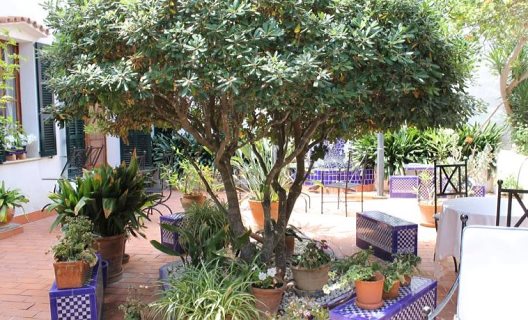 Hotel Sant Jaume