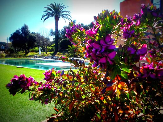 Hotel Sant Pere Del Bosc