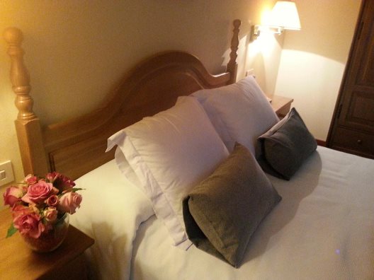 Hotel Segle XX
