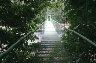 Hotel Selva Verde