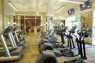 Hotel Seminole Hard Rock & Casino-tampa