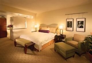 Hotel Seminole Hard Rock & Casino-tampa