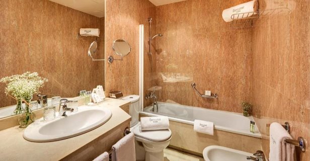Hotel Sercotel Alcalá 611