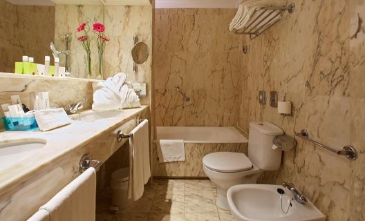 Hotel Sercotel Europa