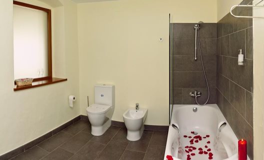 Hotel Ses Arrels