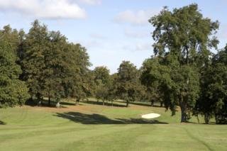 Hotel Shendish Manor Hotel & Golf Course