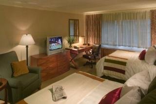 Hotel Sheraton At The Falls