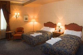 Hotel Sheraton Sofia Hotel Balkan