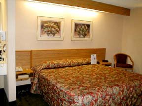 Hotel Sleep Inn-columbia