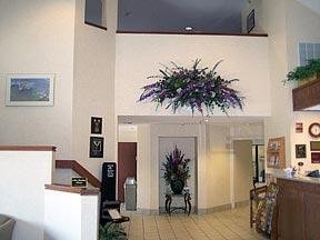 Hotel Sleep Inn & Suites Central-i-44