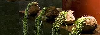 Hotel Sofitel Munich Bayerpost