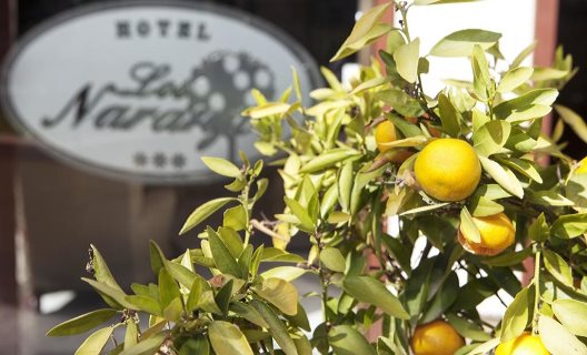 Hotel Soho Los Naranjos