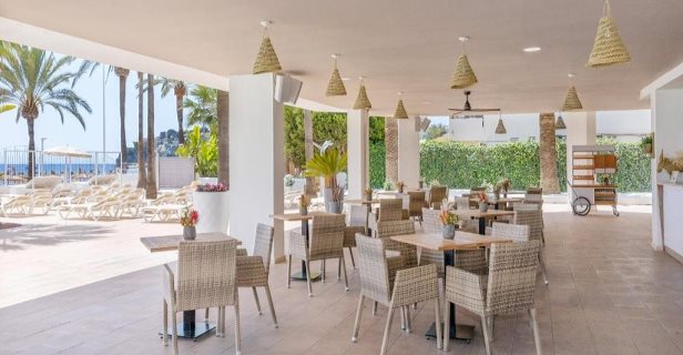Hotel Sol House The Studio Calvia Beach