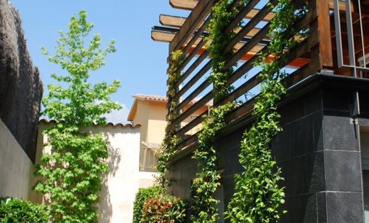 Hotel Somlom