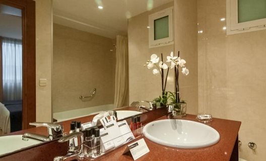 Hotel Sorolla Centro