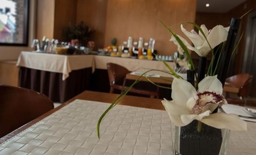 Hotel Sorolla Centro