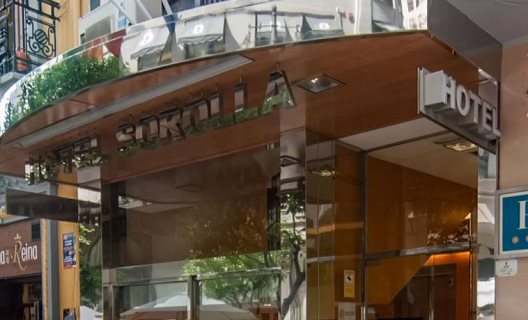Hotel Sorolla Centro
