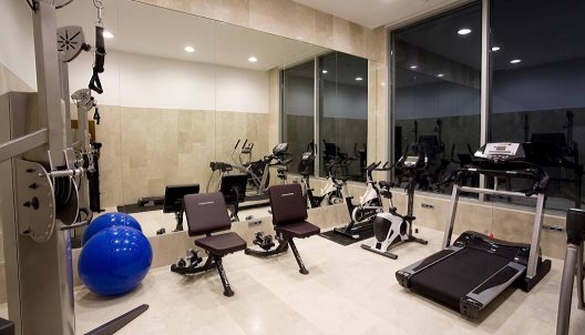 Hotel Spa Arzuaga