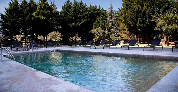 Hotel Spa Da Quinta Dona Adelaide Olive Nature