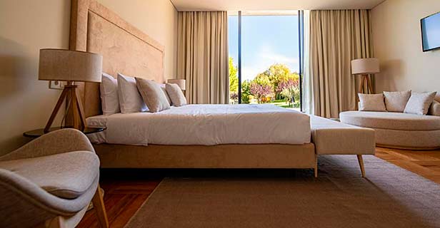 Hotel Spa Da Quinta Dona Adelaide Olive Nature
