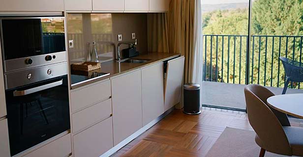Hotel Spa Da Quinta Dona Adelaide Olive Nature