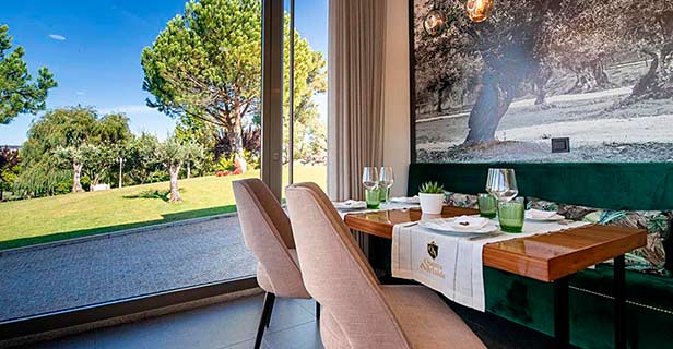 Hotel Spa Da Quinta Dona Adelaide Olive Nature
